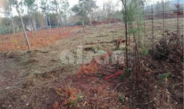 Terreno en calle Manuel Suárez Marquier