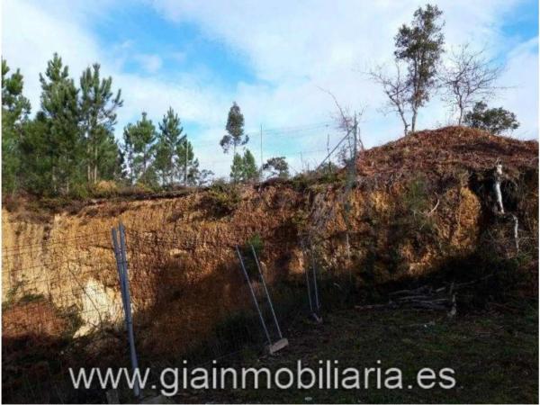 Terreno en calle Manuel Suárez Marquier, 10