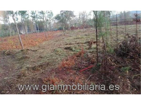 Terreno en calle Manuel Suárez Marquier, 10