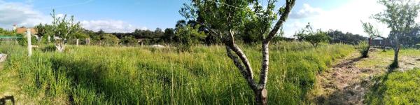 Terreno en Lugar a Gandariña, 15 Sobrada