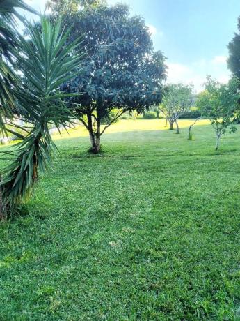 Terreno en Lugar a Gandariña, 15 Sobrada