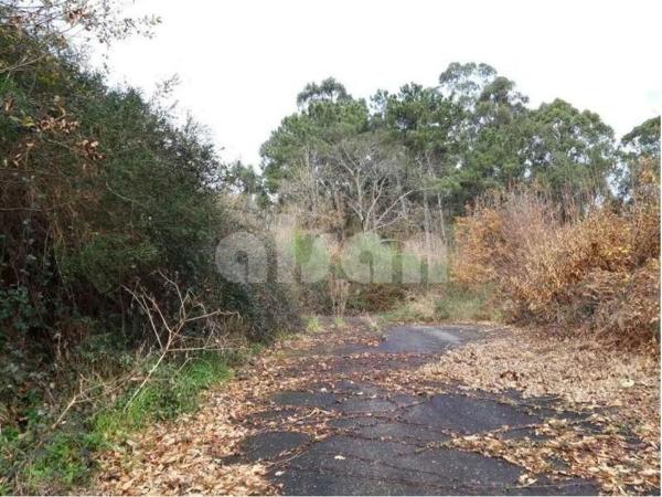 Terreno en camino Sen Nome