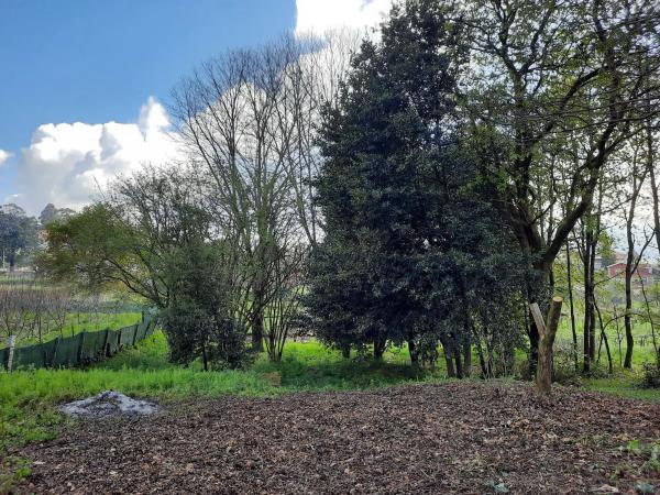 Terreno en Randufe, 101