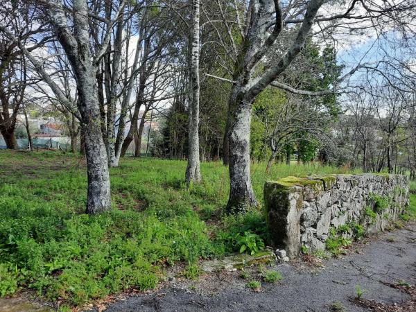 Terreno en Randufe, 101