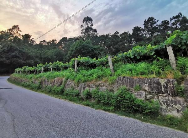 Terreno en Lugar Cotarel, 3