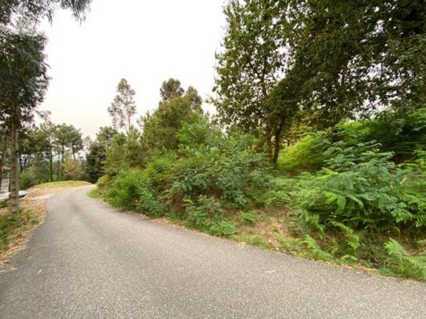 Terreno en camino Baiona, 80 a