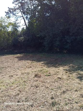 Terreno en barrio de Saa s/n