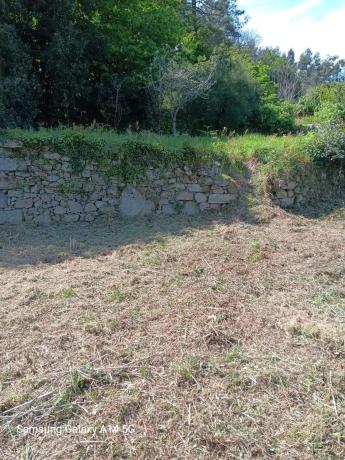 Terreno en barrio de Saa s/n