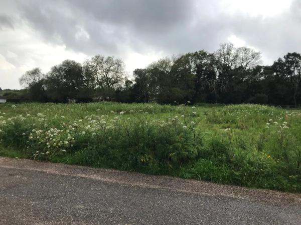 Terreno en camino dos Tallos s/n