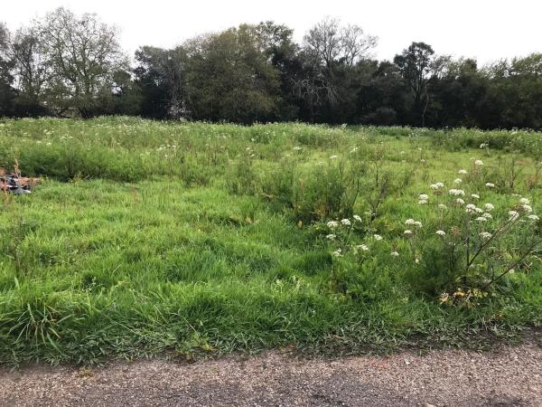 Terreno en camino dos Tallos s/n