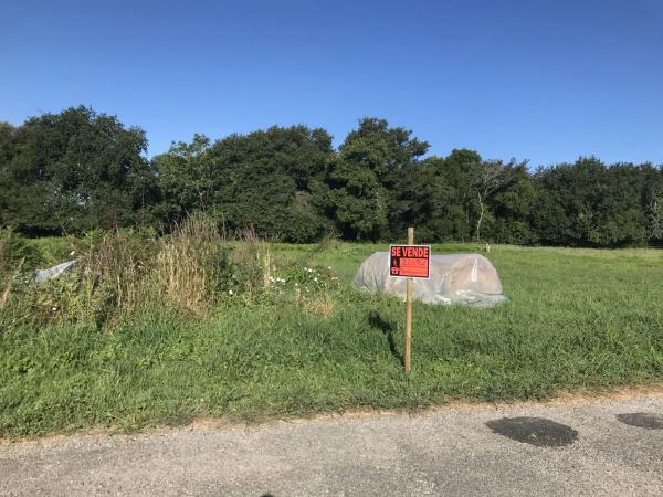 Terreno en camino dos Tallos s/n