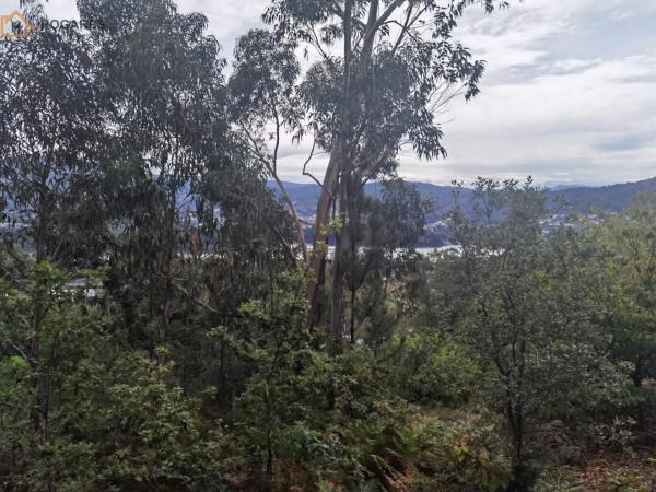 Terreno en O Rosal