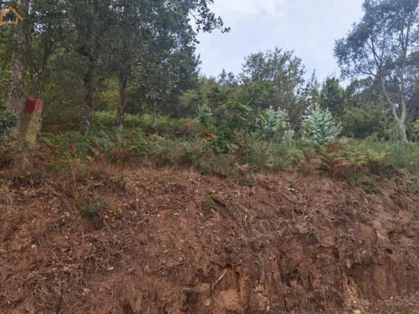 Terreno en O Rosal