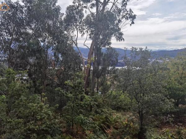 Terreno en O Rosal