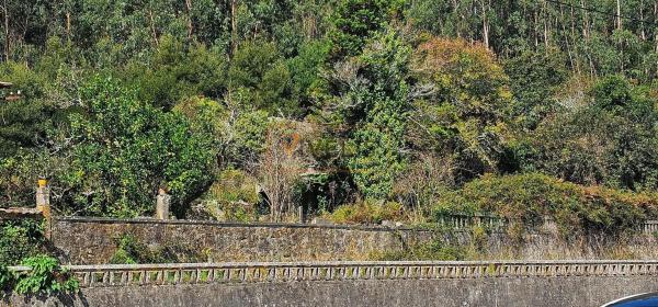 Terreno en a Granxa