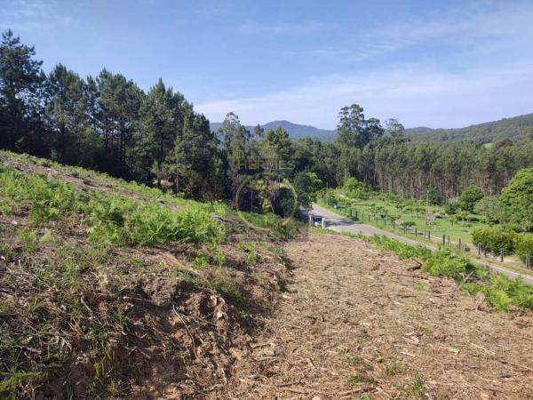 Terreno en Tui
