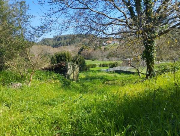Terreno en O Rosal