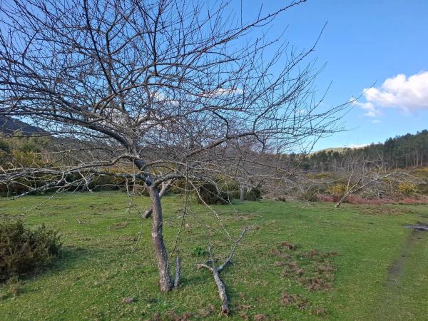 Terreno en Acevedo s/n