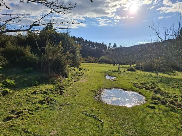 Terreno en Acevedo s/n