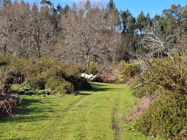 Terreno en Acevedo s/n