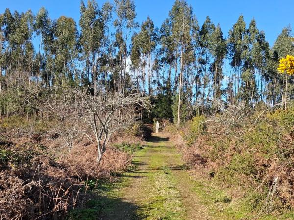 Terreno en Acevedo s/n