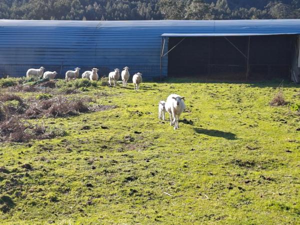 Terreno en Acevedo s/n