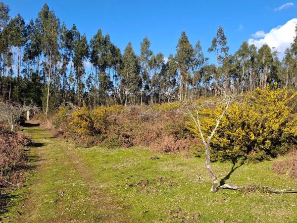 Terreno en Acevedo s/n
