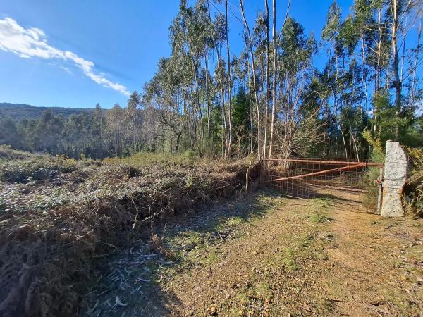 Terreno en Acevedo s/n