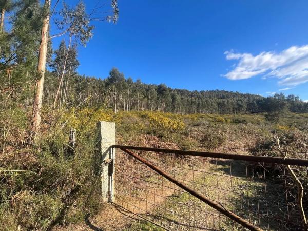 Terreno en Acevedo s/n