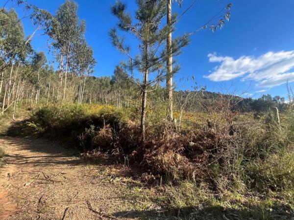 Terreno en Acevedo s/n