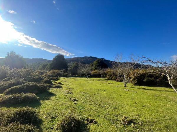 Terreno en Acevedo s/n