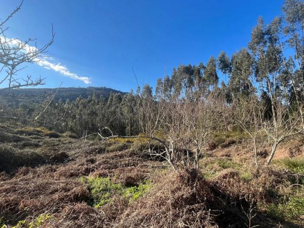 Terreno en Acevedo s/n