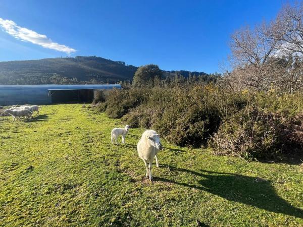 Terreno en Acevedo s/n