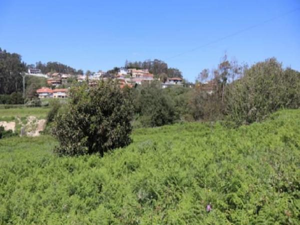 Terreno en A Guarda