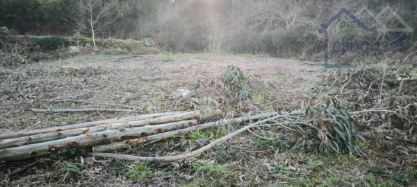 Terreno en Lg Saa - Crangostiña (camposancos)