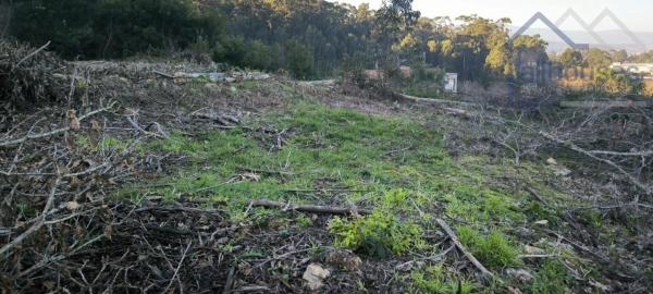 Terreno en Lg Saa - Crangostiña (camposancos)
