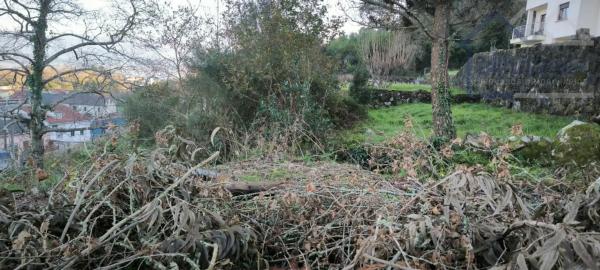 Terreno en Lg Saa - Crangostiña (camposancos)