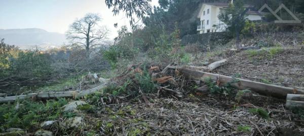 Terreno en Lg Saa - Crangostiña (camposancos)
