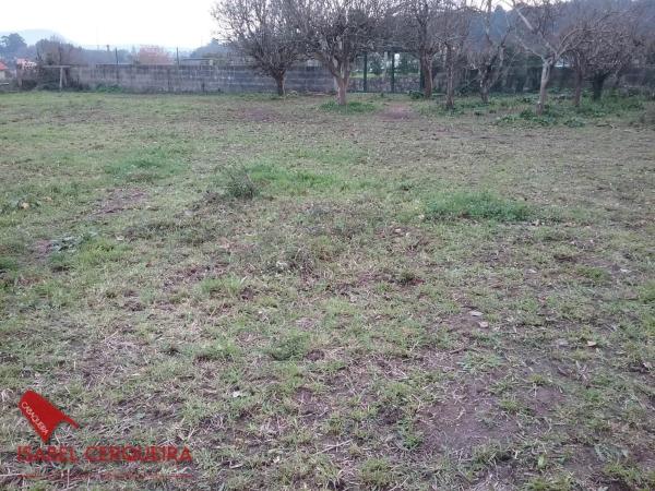 Terreno en camino da Fonte s/n