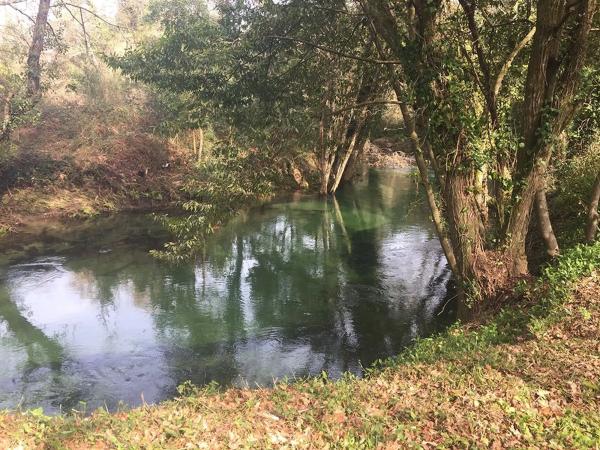 Terreno en camino do Morán s/n