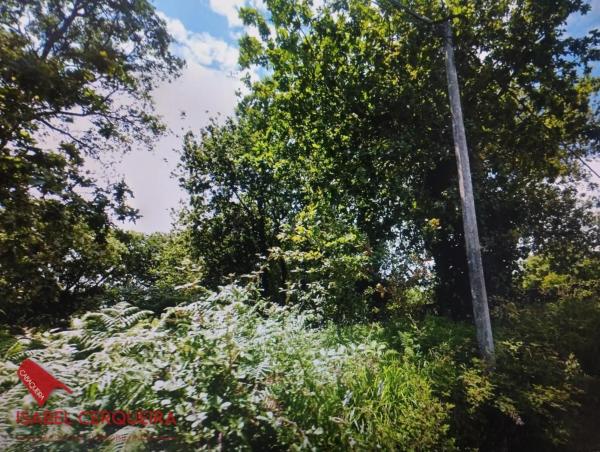 Terreno en camino do Cuchiño