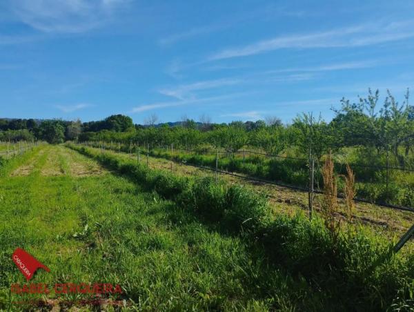 Terreno en camino de Eiras