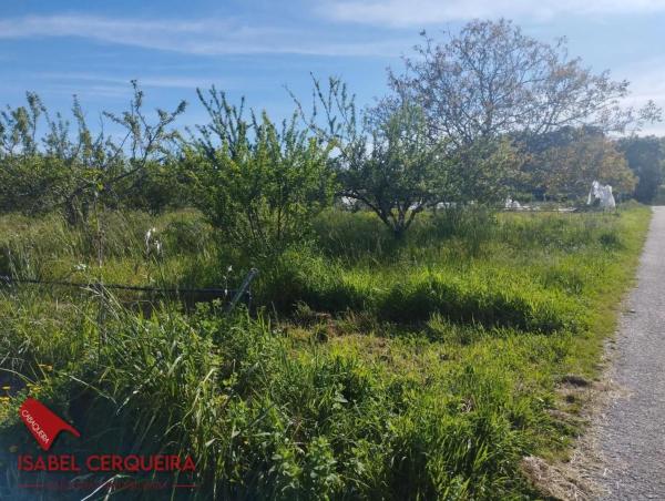 Terreno en camino de Eiras