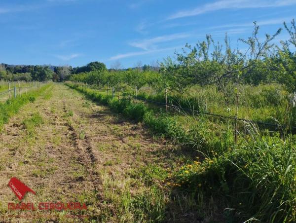 Terreno en camino de Eiras