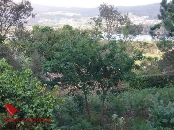 Terreno en Lugar o Monte Real, 3