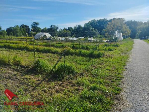 Terreno en camino de Eiras