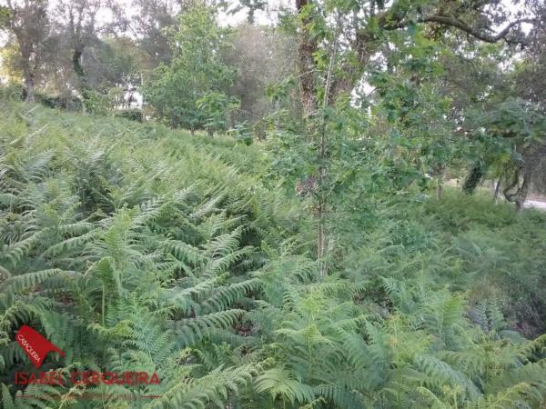 Terreno en Lugar o Monte Real, 3