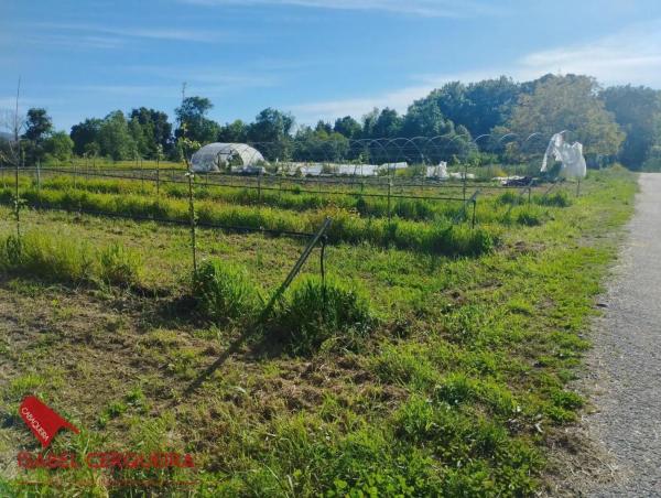 Terreno en camino de Eiras