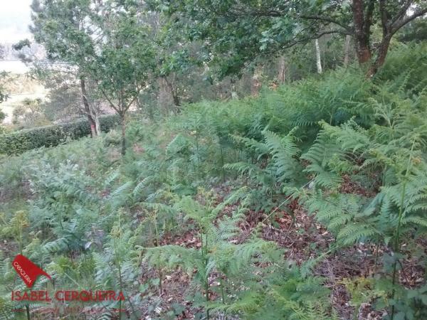 Terreno en Lugar o Monte Real, 3