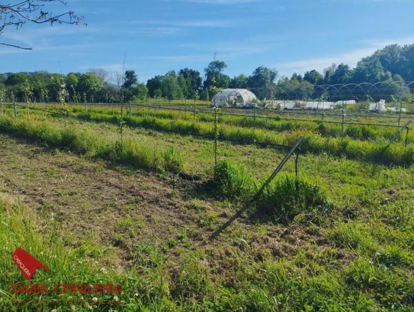 Terreno en camino de Eiras